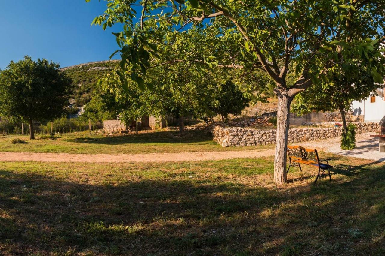 Appartement Kuca Za Odmor Lucija à Vrana  Extérieur photo